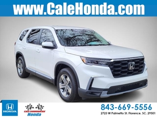 2025 Honda Pilot for sale in Florence SC