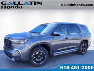 2025 Honda Pilot for sale in Gallatin TN