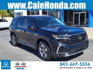 2025 Honda Pilot for sale in Florence SC