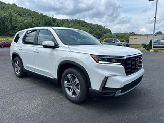 2025 Honda Pilot for sale in Bridgeport WV