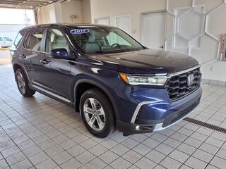 2025 Honda Pilot for sale in Bowling Green KY
