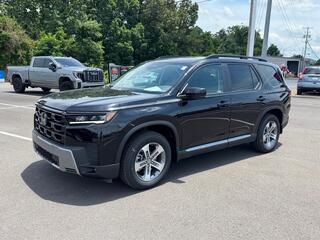 2026 Honda Pilot for sale in Johnson City TN