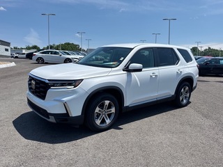 2025 Honda Pilot for sale in Johnson City TN