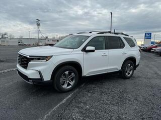 2025 Honda Pilot for sale in Johnson City TN