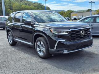 2025 Honda Pilot for sale in Bridgeport WV