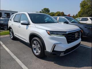 2025 Honda Pilot for sale in Bowling Green KY