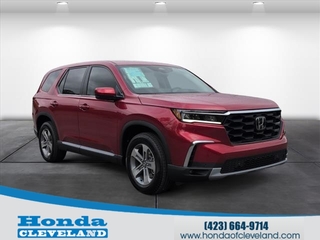 2025 Honda Pilot for sale in Cleveland TN