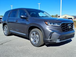 2025 Honda Pilot for sale in Morehead City NC