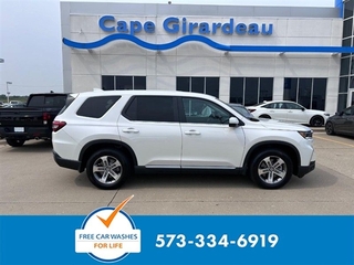 2025 Honda Pilot for sale in Johnson City TN