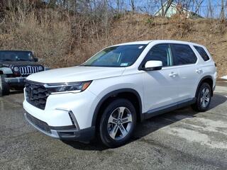 2025 Honda Pilot for sale in Beckley WV