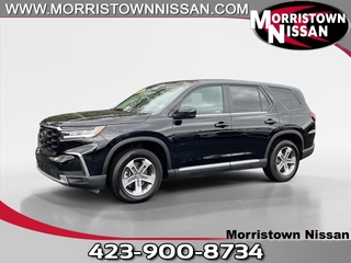 2023 Honda Pilot for sale in Morristown TN