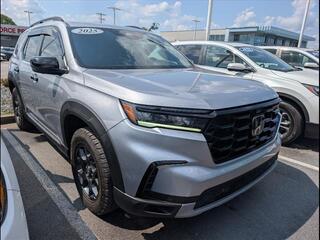 2025 Honda Pilot for sale in Bowling Green KY