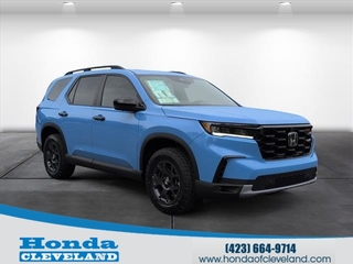 2025 Honda Pilot for sale in Cleveland TN