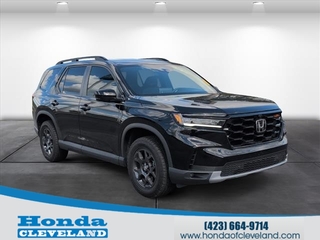 2025 Honda Pilot for sale in Cleveland TN