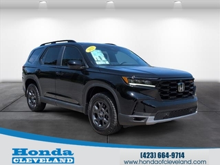 2025 Honda Pilot for sale in Cleveland TN