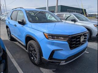 2025 Honda Pilot for sale in Bowling Green KY