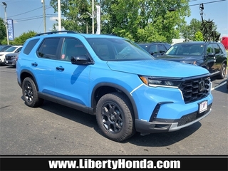 2025 Honda Pilot for sale in Orange TX