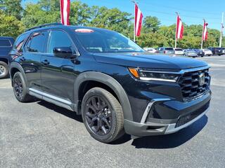 2025 Honda Pilot for sale in New Bern NC