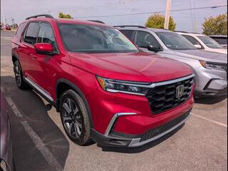 2025 Honda Pilot for sale in Bowling Green KY