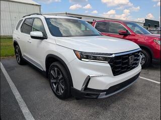 2025 Honda Pilot for sale in Bowling Green KY