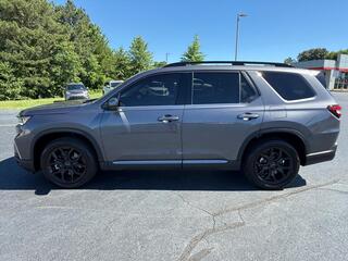 2025 Honda Pilot for sale in Morristown TN