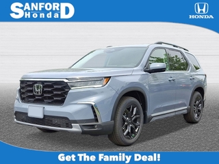 2025 Honda Pilot for sale in Sanford NC