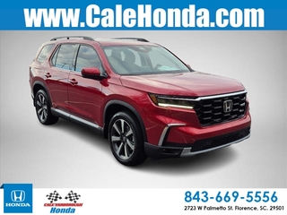 2025 Honda Pilot for sale in Florence SC