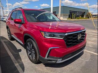 2025 Honda Pilot for sale in Bowling Green KY