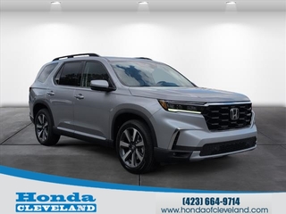 2025 Honda Pilot for sale in Cleveland TN