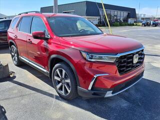 2025 Honda Pilot for sale in Bowling Green KY