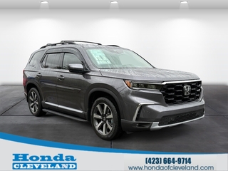 2025 Honda Pilot for sale in Cleveland TN