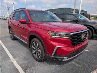 2025 Honda Pilot for sale in Bowling Green KY