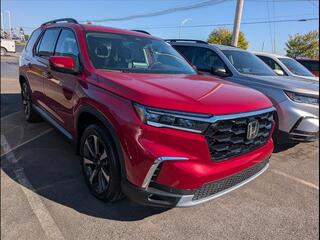 2025 Honda Pilot for sale in Bowling Green KY