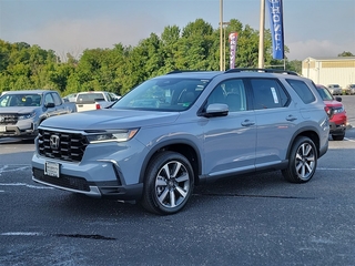 2025 Honda Pilot for sale in Roanoke VA