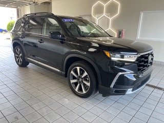 2024 Honda Pilot for sale in Bowling Green KY