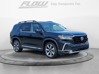 2025 Honda Pilot for sale in Burlington NC