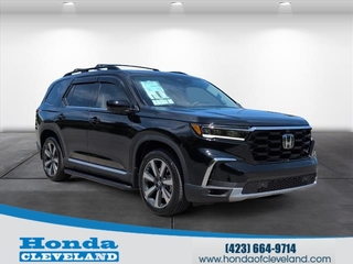 2025 Honda Pilot for sale in Cleveland TN
