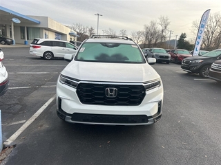 2023 Honda Pilot for sale in Johnson City TN