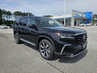 2025 Honda Pilot for sale in Morehead City NC
