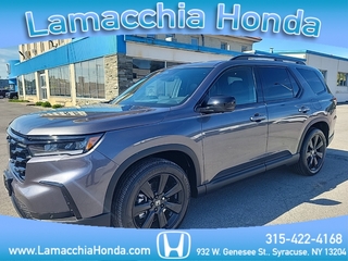 2025 Honda Pilot for sale in Syracuse NY