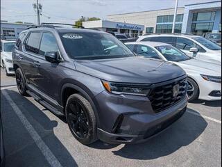 2025 Honda Pilot for sale in Bowling Green KY