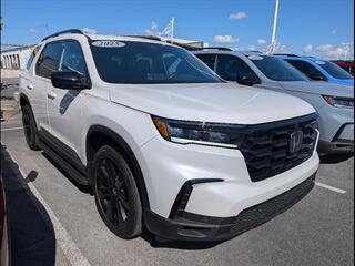 2025 Honda Pilot for sale in Bowling Green KY