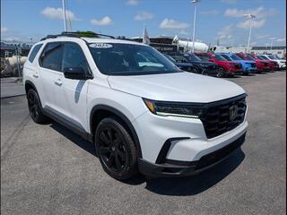 2025 Honda Pilot for sale in Bowling Green KY