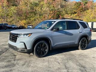 2025 Honda Pilot for sale in Beckley WV