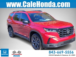 2025 Honda Pilot for sale in Florence SC