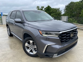 2023 Honda Pilot for sale in Jacksonville FL