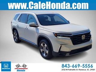 2025 Honda Pilot for sale in Florence SC