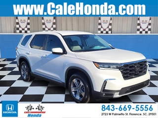 2025 Honda Pilot for sale in Florence SC