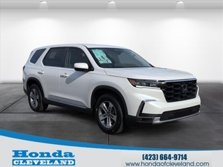 2025 Honda Pilot for sale in Cleveland TN