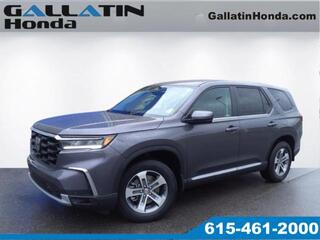 2025 Honda Pilot for sale in Gallatin TN